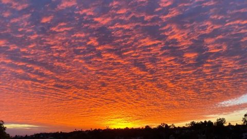 A sunset scored 100